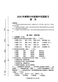 河南省南阳市社旗县2024-2025学年下学期期中测试六年级年级语文试卷