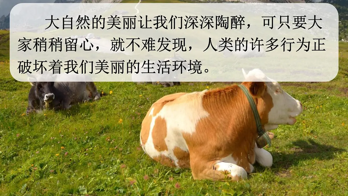 新统编版小学语文四上 第一单元《口语交际:我们与环境》课件第2页