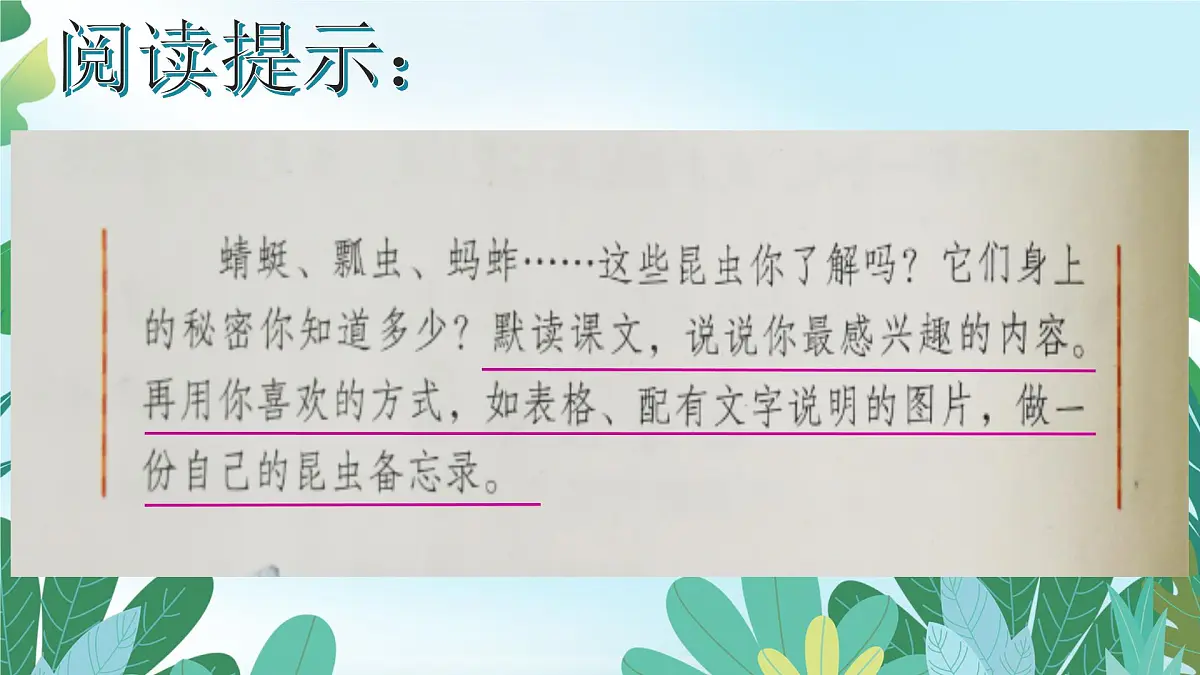 4《昆虫备忘录》课件 部编版语文三年级下册第4页