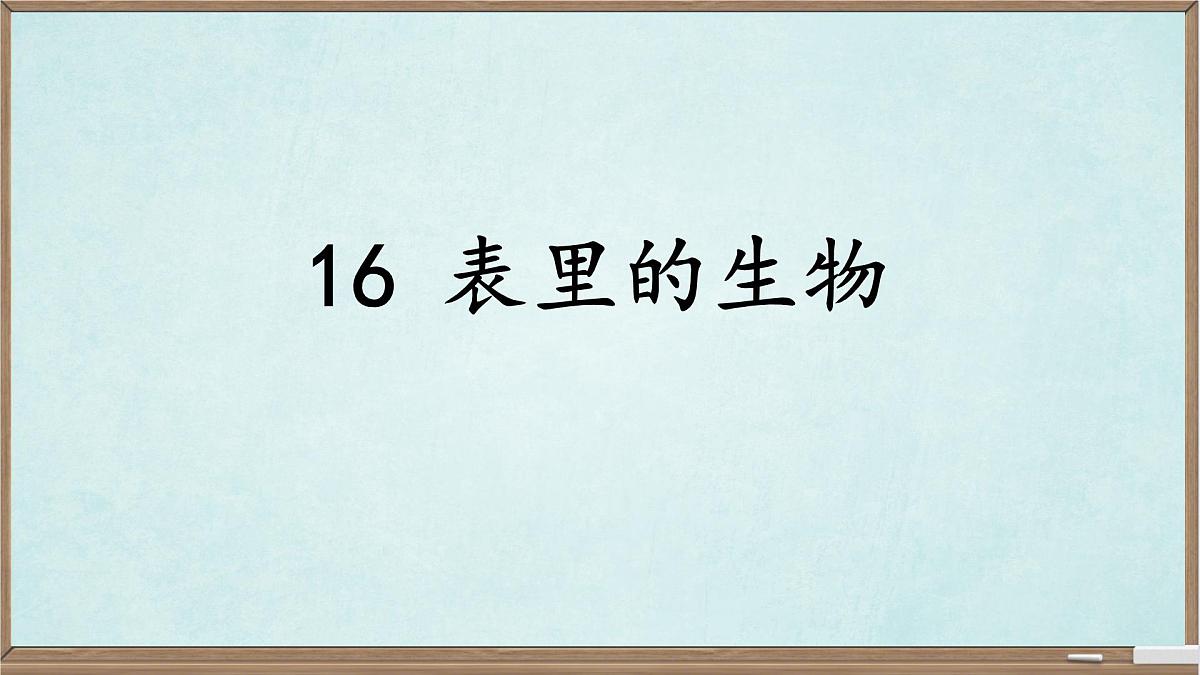 统编版六年级语文下册课件《表里的生物》第1页