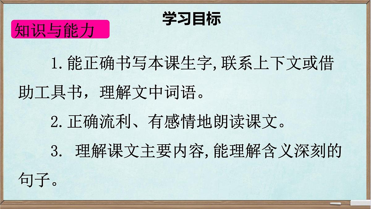 统编版六年级语文下册课件《表里的生物》第2页