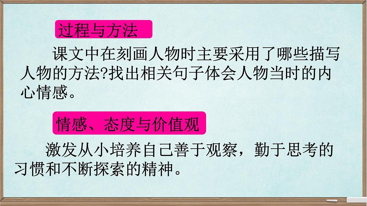 统编版六年级语文下册课件《表里的生物》第3页