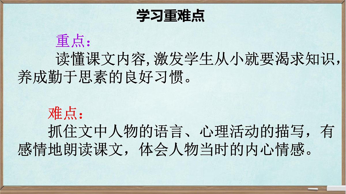 统编版六年级语文下册课件《表里的生物》第4页