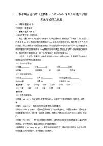 山东省烟台龙口市(五四制)2023-2024学年六年级下学期期末考试语文试卷(解析版)