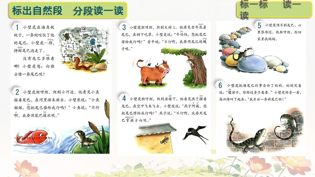 小学语文统编版(2024)一年级下册8.20 小壁虎借尾巴 课件第5页