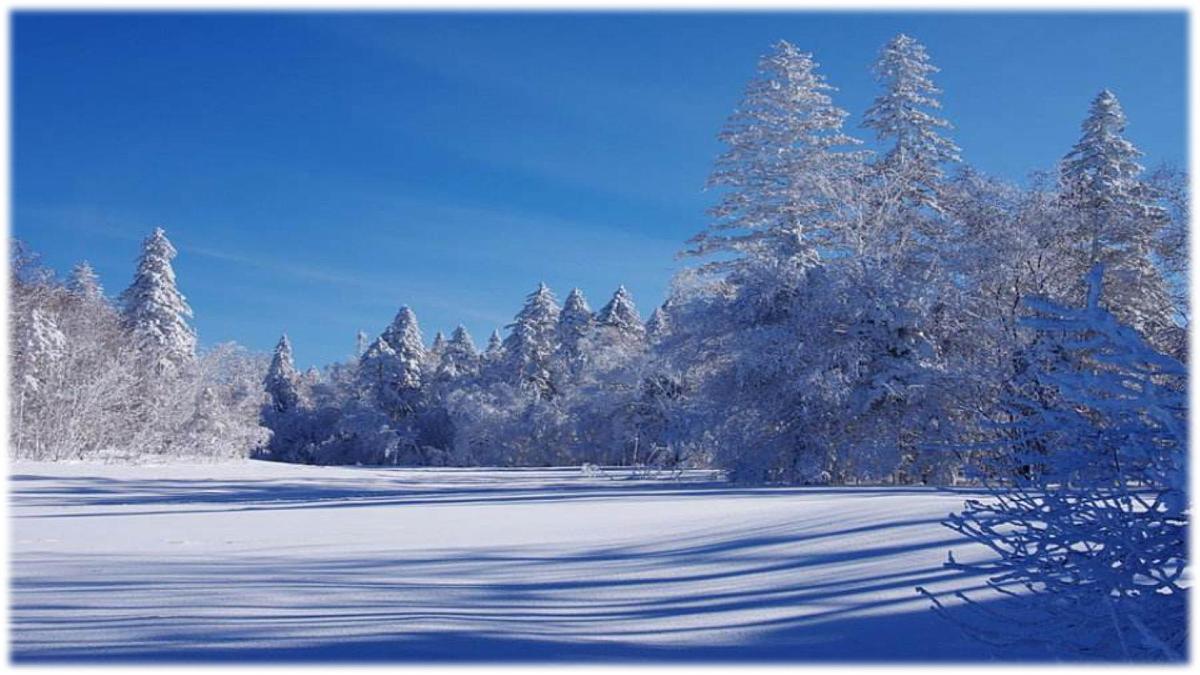 3《雪地里的小画家》课件 部编版语文一年级上册第1页