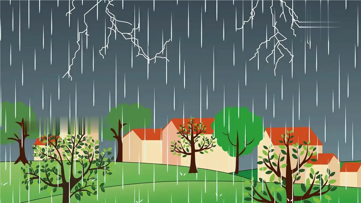 小学语文统编版(2024)二年级下册6.16 雷雨 课件第3页