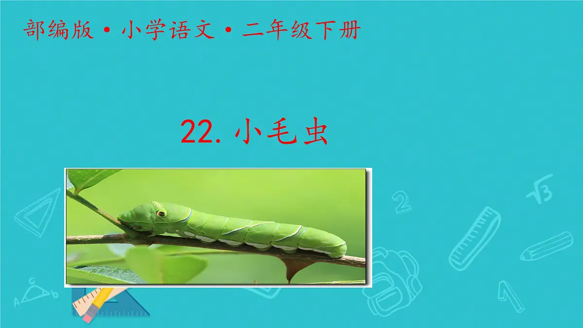 小学语文统编版(2024)二年级下册7.22 小毛虫 课件第1页