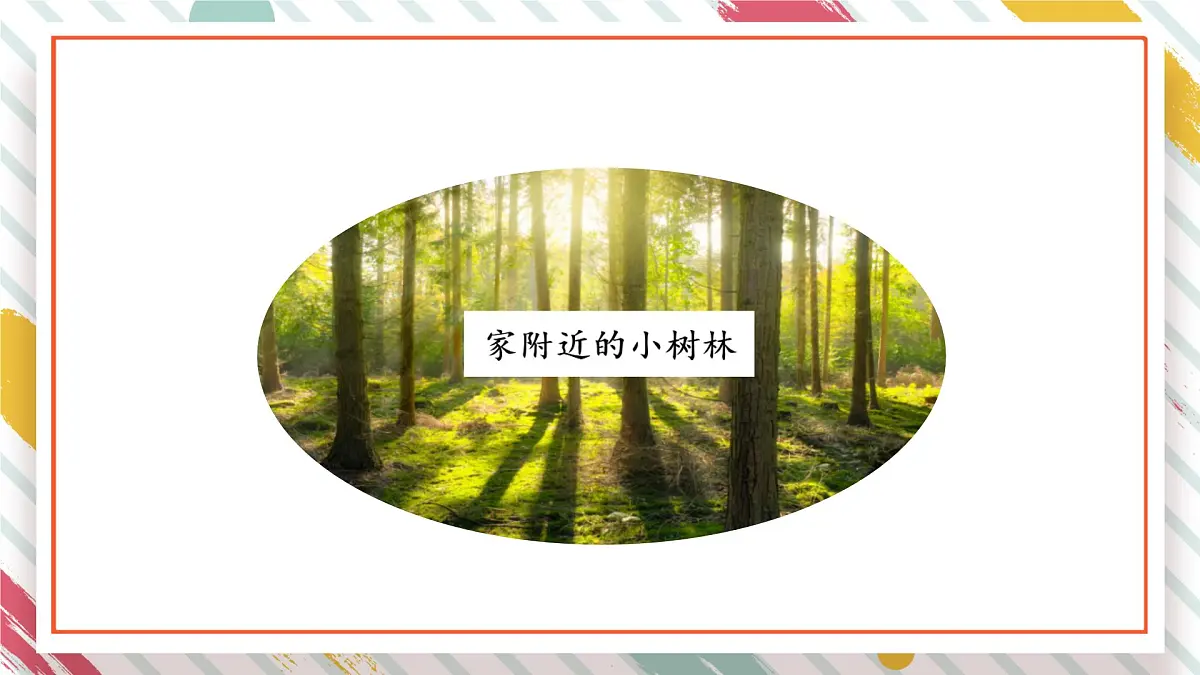 统编版四年级语文下册课件《第五单元习作:游____》第3页