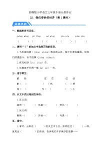 统编版（2024）我们奇妙的世界第1课时课时作业