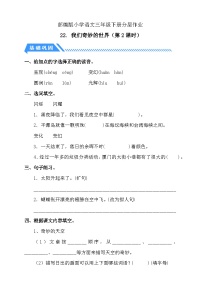 统编版（2024）三年级下册我们奇妙的世界第2课时课时作业