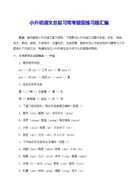 小升初语文总复习常考题型练习题汇编（含答案）