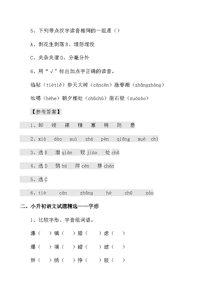 小升初语文总复习各题型练习题汇编(含答案)第2页