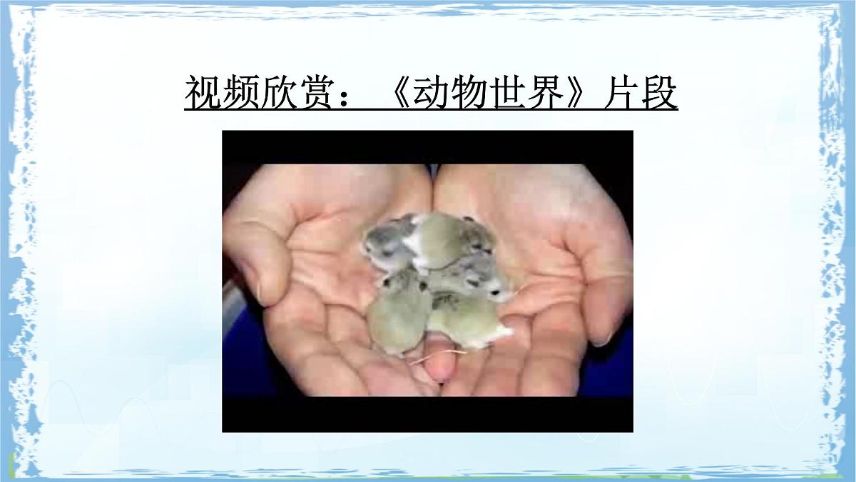 统编版四年级语文下册课件《第四单元习作:我的动物朋友》第6页