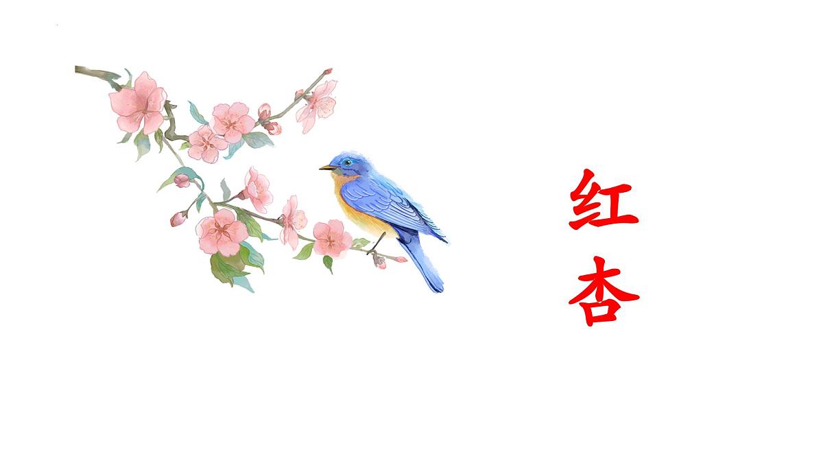 六下《游园不值》课件第2页