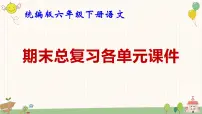 统编版六年级下册语文期末总复习各单元课件