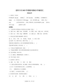 2024-2025学年湖北省襄阳市老河口市六年级下册期中考试语文检测试卷（含答案）