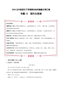 五年级语文下册期末备考真题 12 现代文阅读(原卷+答案解释)2024-2025学年 统编版