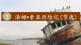 【教學(xué)評一體化設(shè)計(jì)】統(tǒng)編版小學(xué)語文六年級下冊7.湯姆索亞歷險記（節(jié)選）課件一課時