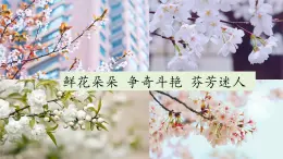 【教學(xué)評一體化設(shè)計】統(tǒng)編版小學(xué)語文三年級下冊13花鐘課件兩課時