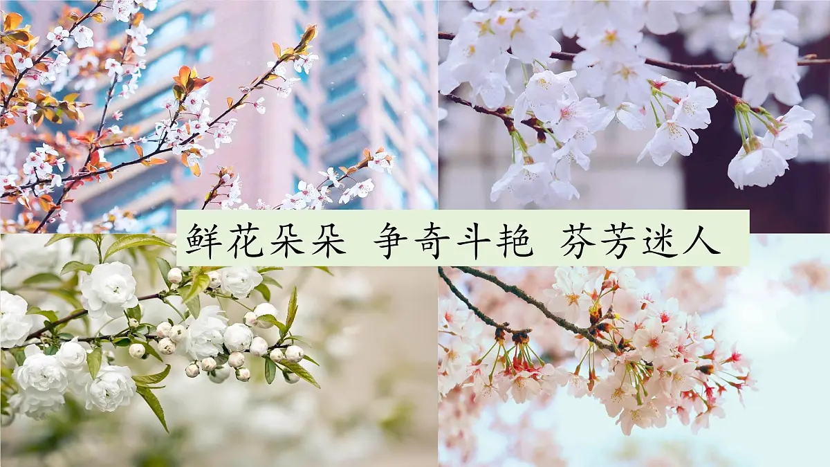 【教学评一体化设计】统编版小学语文三年级下册13花钟课件两课时第1页