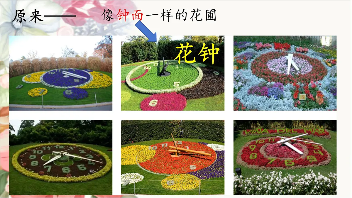 【教学评一体化设计】统编版小学语文三年级下册13花钟课件两课时第7页