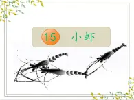 【教學(xué)評一體化設(shè)計】統(tǒng)編版小學(xué)語文三年級下冊15.小蝦課件一課時
