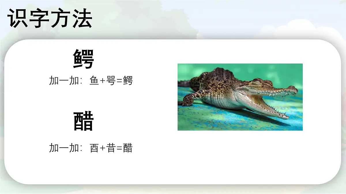 统编版三年级语文下册教学课件《17 我变成了一棵树》第6页