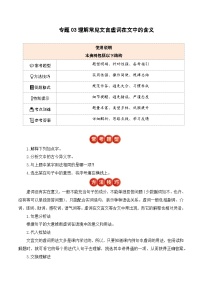 文言文复习专题3：理解常见的文言虚词在文中的含义-2025年语文小升初专项提分练习+统编版