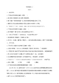 五年级下册语文《句子》夺冠专项突破(二)测试卷  部编版 含答案