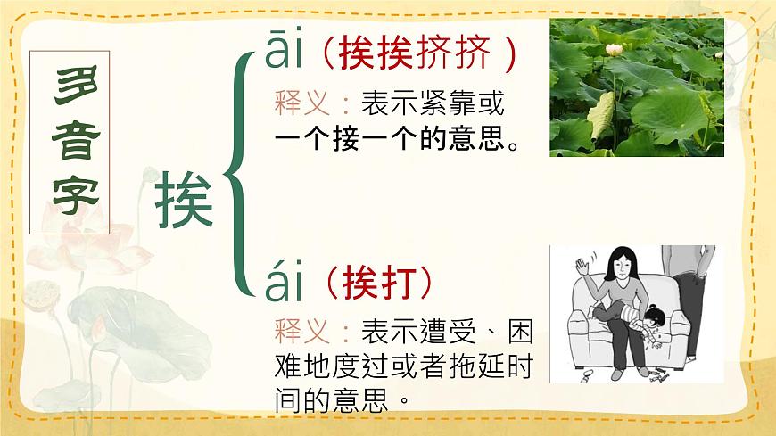 統(tǒng)編版三年級語文下冊教學(xué)課件《3 荷花》第6頁