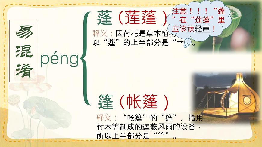 統(tǒng)編版三年級語文下冊教學(xué)課件《3 荷花》第7頁