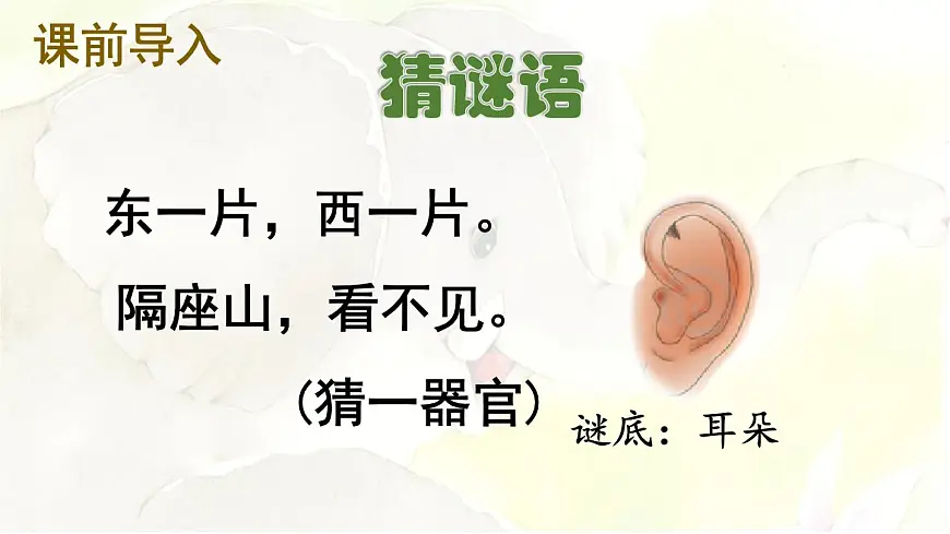 统编版二年级语文下册教学课件《19 大象的耳朵》第2页