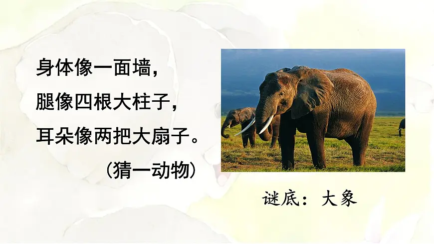 统编版二年级语文下册教学课件《19 大象的耳朵》第3页