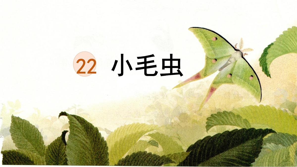 统编版二年级语文下册教学课件《22 小毛虫》第1页