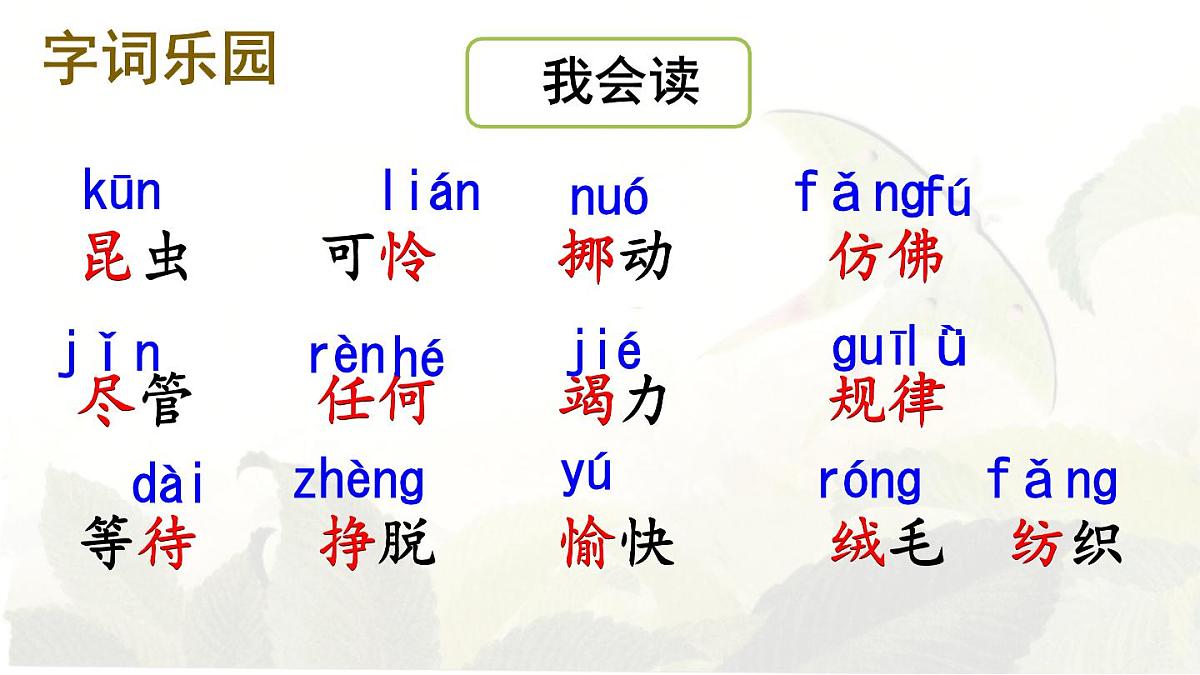 统编版二年级语文下册教学课件《22 小毛虫》第4页