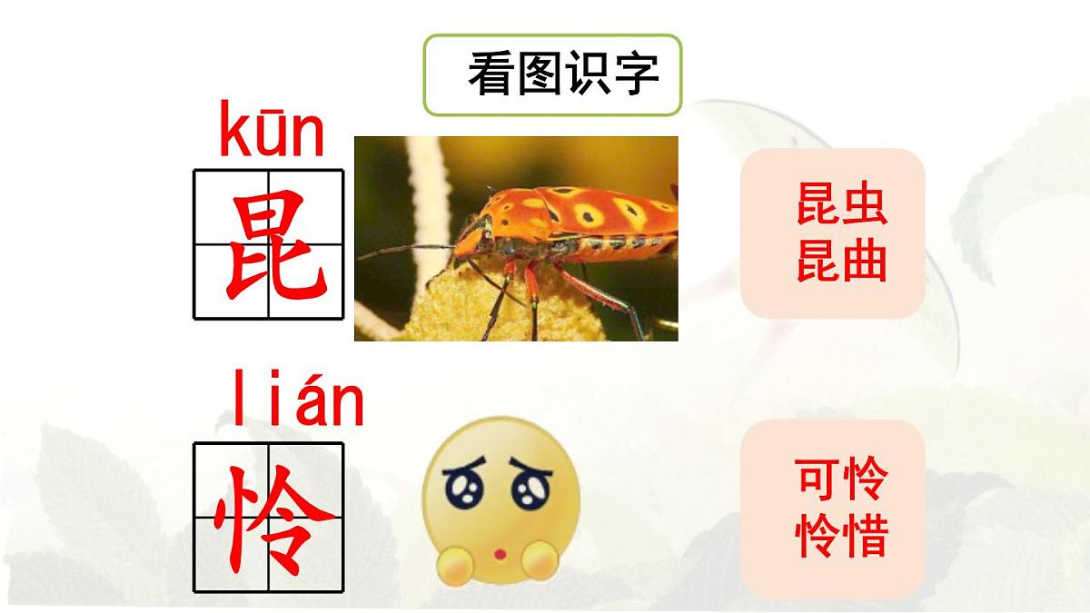统编版二年级语文下册教学课件《22 小毛虫》第5页