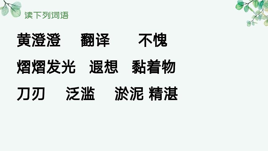 (部編版)小學語文五年級下冊第20課《金字塔-金字塔夕照》課件第8頁