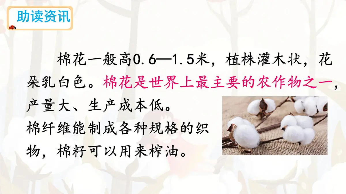 统编版一年级语文下册教学课件《18 棉花姑娘》第3页