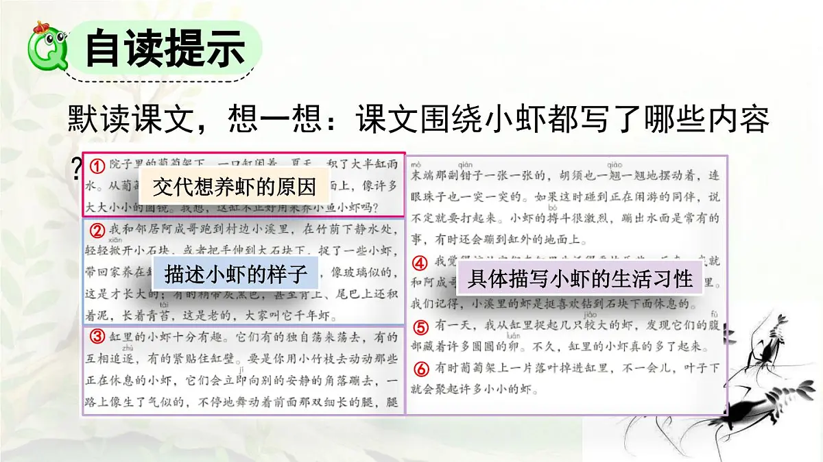 2025年春三年级语文下册第15课《小虾》课件(统编版)第5页
