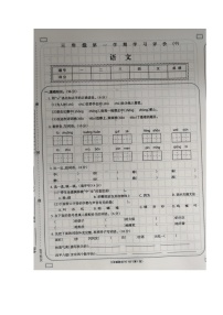 江西宜春市丰城市2023-2024学年第一学期三年级语文期中试卷（含答案）
