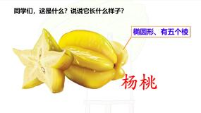 语文二年级下册画杨桃教学ppt课件