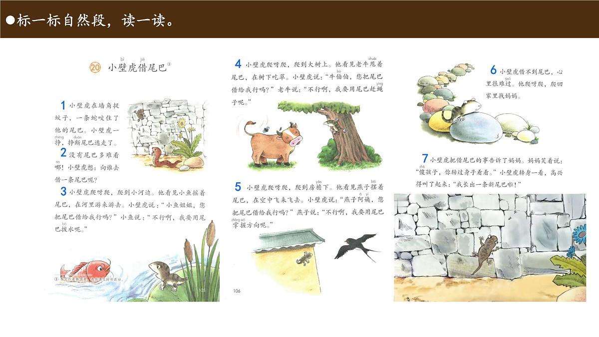 小学 语文 统编版(2024)一年级下册8.20 小壁虎借尾巴 课件第7页