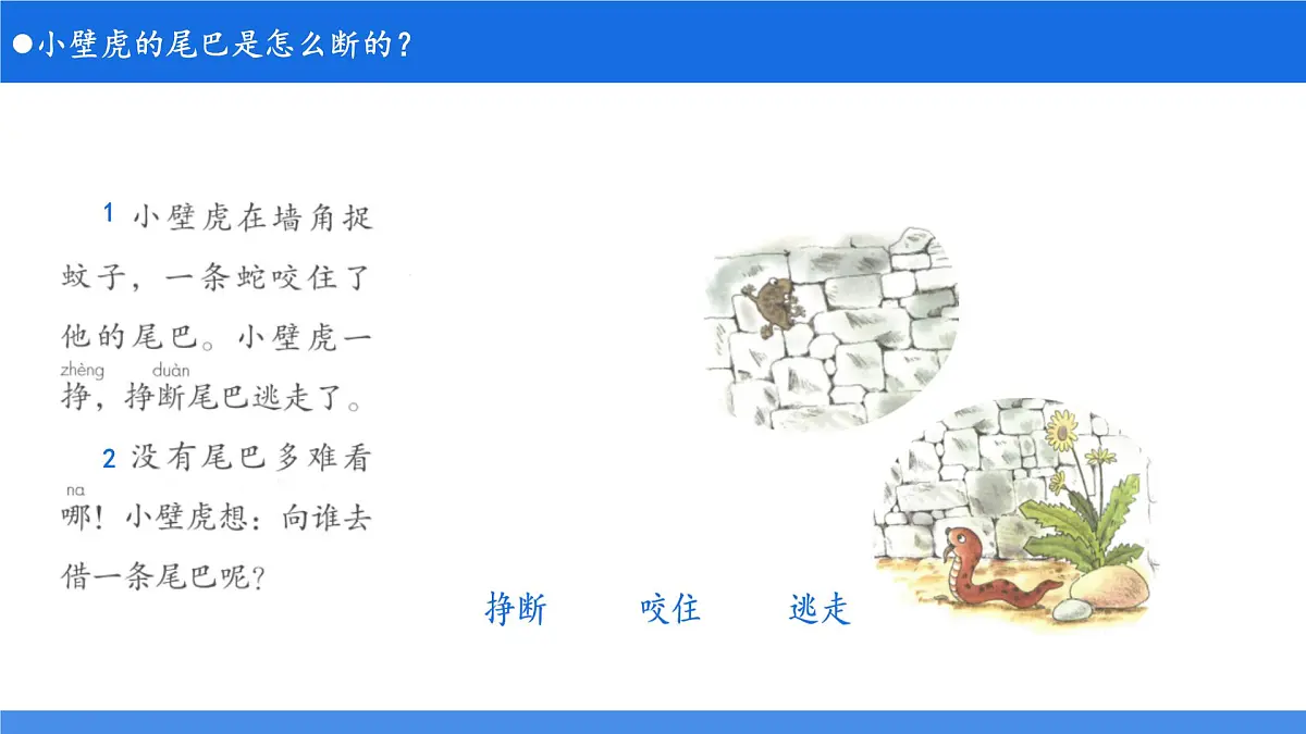 小学 语文 统编版(2024)一年级下册8.20 小壁虎借尾巴 课件第6页