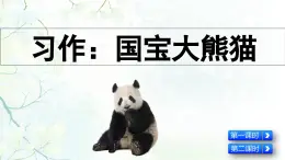 2025年春三年級(jí)語文下冊(cè)第七單元習(xí)作《國寶大熊貓》課件（統(tǒng)編版）
