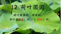 小学语文统编版（2024）一年级下册（2024）荷叶圆圆课文配套课件ppt