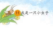 小学语文统编版（2024）二年级下册我是一只小虫子授课课件ppt