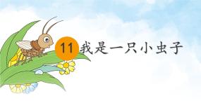 小学语文统编版（2024）二年级下册我是一只小虫子授课课件ppt