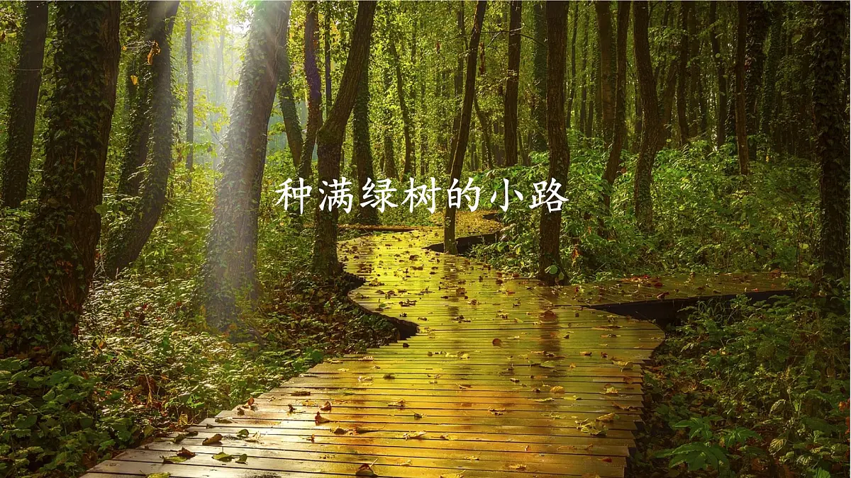 统编版二年级语文下册课件《3 开满鲜花的小路》第6页