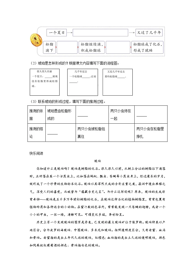 5.琥珀同步强化练习 统编版语文四年级下册第3页